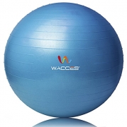 Wacces® Fitness Exercise and Stability Ball (Blue, 55 cm)