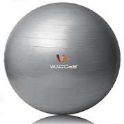 Wacces® Fitness Exercise and Stability Ball (Gray, 55 cm)