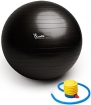 Exercise Ball, LuxFit Premium EXTRA THICK Yoga Ball '2 Year Warranty' - Swiss Ball Includes Foot Pump. Anti-Burst - Slip Resistant! 55cm, 65cm, 75cm, 85cm Size Fitness Balls Available. (Black, 55cm)