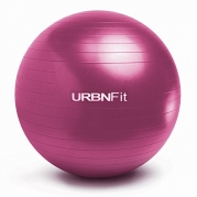 Exercise Ball (55 CM) for Stability & Yoga - Workout Guide Incuded - Professional Quality (Pink)