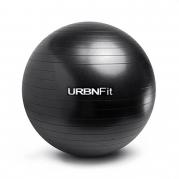 Exercise Ball (55 CM) for Stability & Yoga - Workout Guide Incuded - Professional Quality (Black)