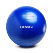 Exercise Ball (75 CM) for Stability & Yoga - Workout Guide Incuded - Professional Quality (Blue)