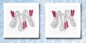Fun Express nylon jump ropes (1 dz)